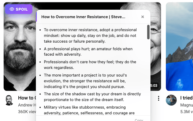 YouTube Spoiler summarizing a self-improvement video