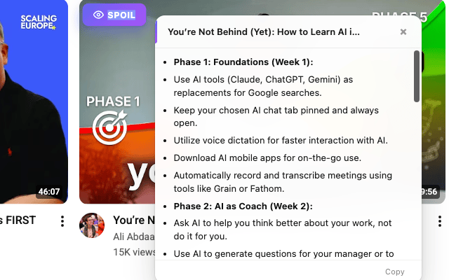 YouTube Spoiler summarizing an AI learning guide